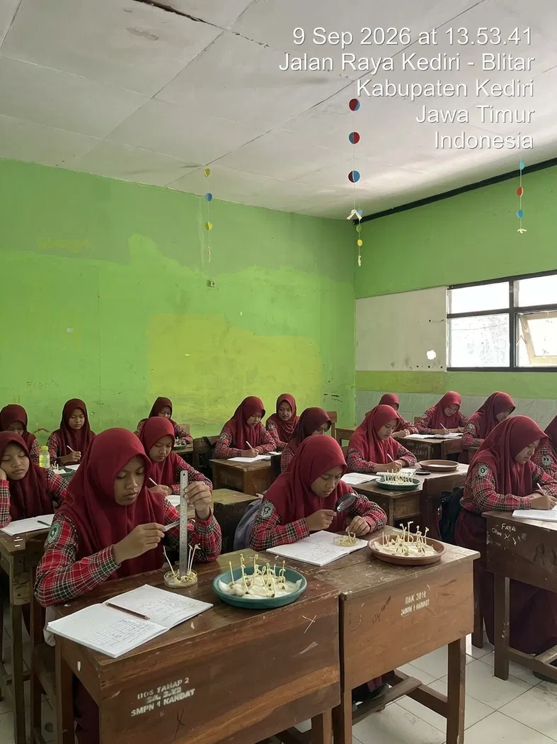 Penerapan Metode Ilmiah Melalui Experimen Penanaman Kecambah Kacang Hijau