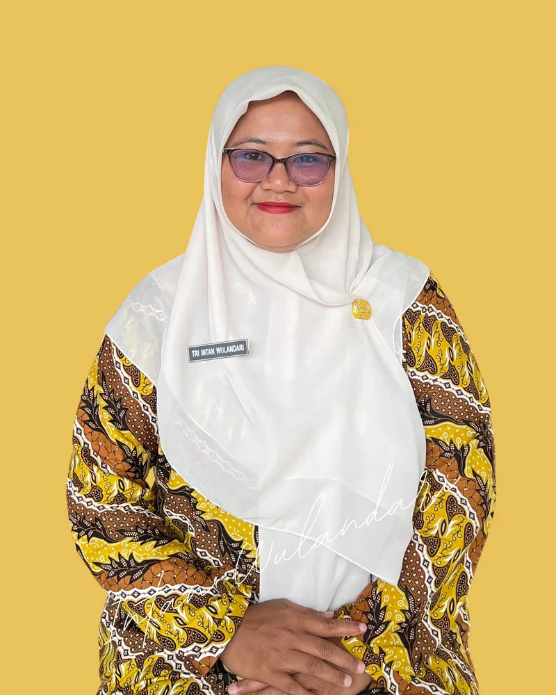 Tri Intan Wulandari, S.Pd
